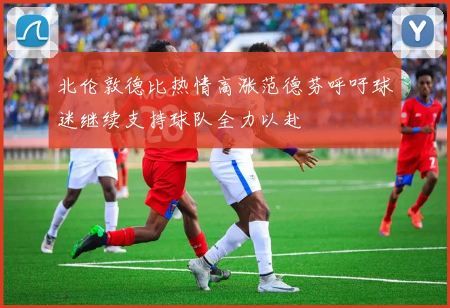 北伦敦德比热情高涨范德芬呼吁球迷继续支持球队全力以赴